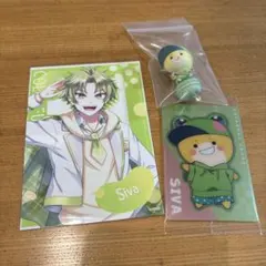 カラフルピーチ　シヴァさん　まとめ売り