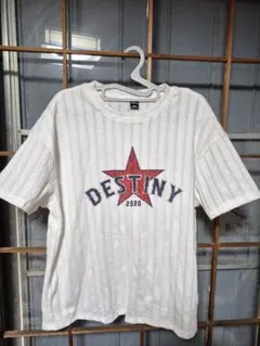 DESTINY 2020 ホワイトTシャツのサムネイル