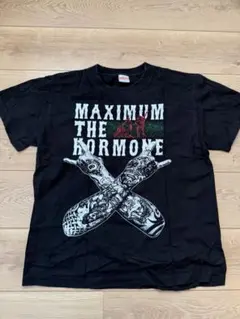 2026年最新】マキシマムザホルモン xlの人気アイテム - メルカリ