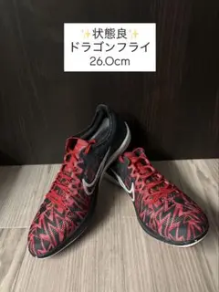ドラゴンフライ2