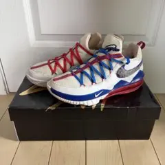 nike Lebron17 low space jam 29cm