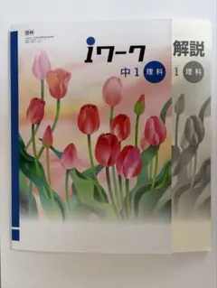 2026年最新】Iワーク 中1の人気アイテム - メルカリ