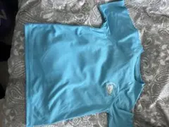 Item thumbnail for item 80af4a3c-07a6-4993-ae03-ce5f2d9a5ae7