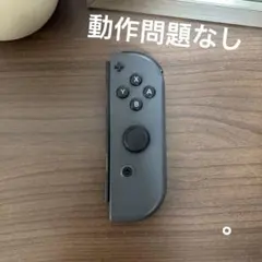 NintendoSwitch ジョイコン グレR