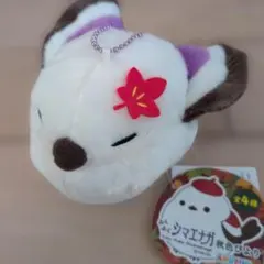 Item thumbnail for item cbf0b40f-681e-47d5-87dd-3e03c74e6446