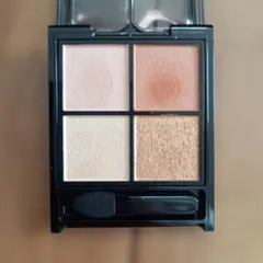 KATE ポッピングシルエットシャドウ EX-1