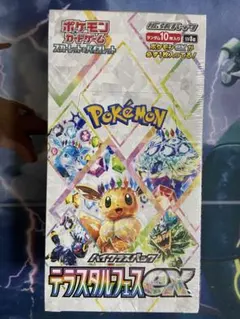 テラスタルフェスex box シュリンク付き