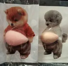 おなかシール　お腹　もちぷに　ぷっくり　柴犬　トイプードル　2点セット　おまけ付