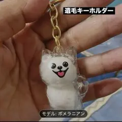 Item thumbnail for item 77ca45d5-7350-48c9-a8af-a830fe6cc36a