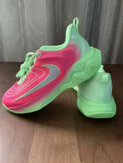 『新品タグ付』NIKE ナイキ ヤニス イモータリティ4 24.5cmのサムネイル