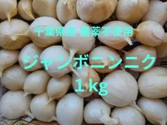 千葉県産 ジャンボニンニク１kg栽培期間中農薬不使用のサムネイル