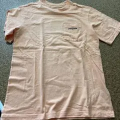 patagonia オレンジ　Tシャツ　XS 実物は結構オレンジ