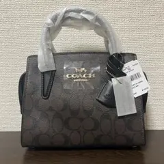 T34新品タグ付 コーチ シグネチャー ミニマーゴット ハンドバッグ 2way 