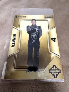 SEGA SAMMY LUX HINATA 生写真