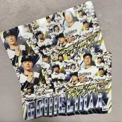 Item thumbnail for item dc85da4d-9433-4864-9f11-e288ebfb1913