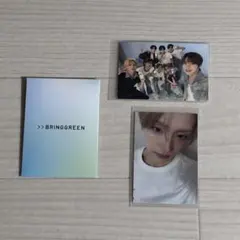 BRINGGREEN サンウォン ALD1 ALPHADRIVEONE トレカ