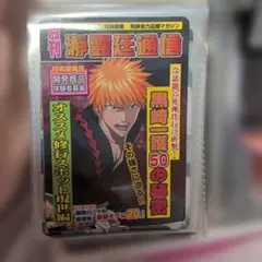 BLEACH ブリーチ 黒崎一護 学生証 FC限定 ファンクラブ - メルカリ