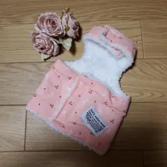 Item thumbnail for item a68abcd1-323b-40a9-9703-8c2af86ed181