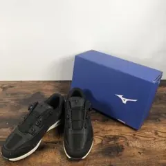 未使用 MIZUNO ウォーキングシューズ LS033 24.0cm 箱あり
