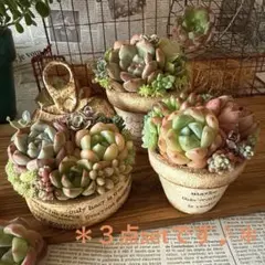 ❤︎アンティークリメイク鉢❤︎ そのまま飾れる多肉植物寄せ植え　リメ鉢ちまちまリメ缶