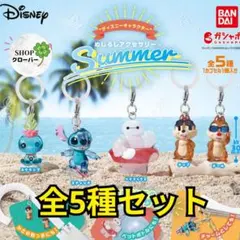 ディズニーキャラクターめじるしアクセサリーsummer　全5種コンプリートセット