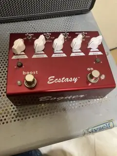 2025年最新】bogner ecstasyの人気アイテム - メルカリ
