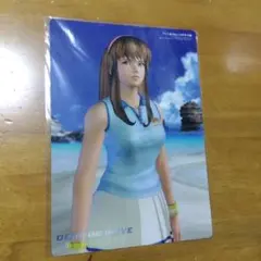 1-4 デットオアアライブ  B−5下敷き