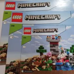 LEGO Minecraft 21161 説明書3冊のみ