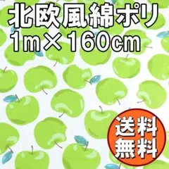 Item thumbnail for item 5cc30f8a-a855-45e1-b639-ada5e9a22a80