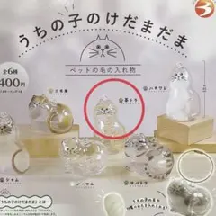 うちの子のけだまだま 類似品 茶トラ 毛玉