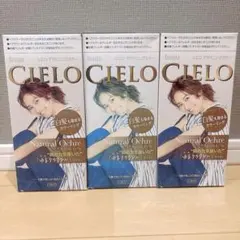 【新品3箱セット】hoyu CIELO デザイニングカラー ナチュラルオークルのサムネイル