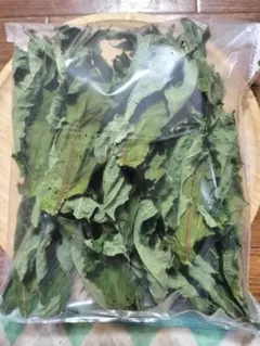 Item thumbnail for item c29590b6-bd55-4eef-be45-fdf0929f6d9b