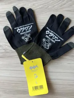 ドリカム　ウラワン 2024/2025 グローブ