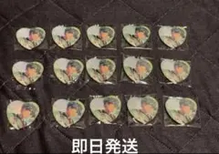 あんスタ　あんさんぶるスターズ　ハート缶バッジ　15個　瀬名泉 Knights