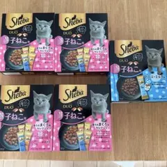 Item thumbnail for item 3a7a1580-d781-47e9-8d48-14a61e692ca9