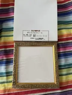 オリムパス　セレンディーピティー　クロスステッチ　専用フレーム