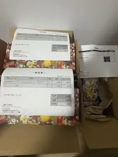 ポケモンセンタートウホクスペシャルBOX 2個 MEGAドリームex BOX1