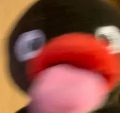 Item thumbnail for item 691f223e-6c71-4425-901d-c25d0b418d9c