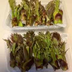 yu☆sa216様専用です ほかの方が購入した場合キャンセルになります