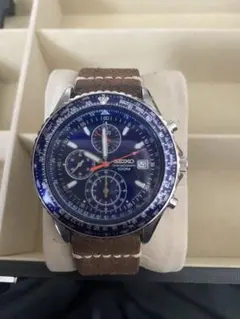 Item thumbnail for item 2d91483e-041b-48a9-99d8-25f343e5b0d7