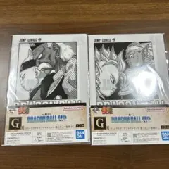 ドラゴンボール　一番くじ　40th G賞　クリアファイル