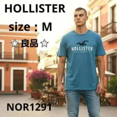 HOLLISTER CALIFORNIA 半袖Tシャツ 綿混 ブルー M 夏のサムネイル