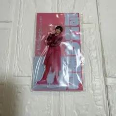 新品　未使用　なにわ男子　道枝駿佑　アクスタのサムネイル