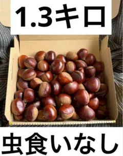 フクロウ様専用ページ