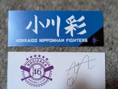 小川彩 北海道日本ハムファイターズ 乃木坂野球部 コラボ限定カードのサムネイル