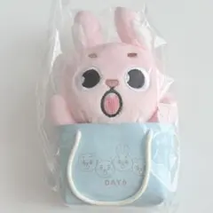 DAY6 The DECADE バッグチャーム ヘアピン ヨンケイ KE DAY6 The DECADE バッグチャーム 新品未開封 ヨンケイ KE - メルカリ