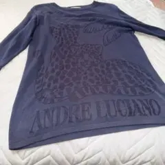 ANDRE LUCIANOアンドレルチアーノ/刺繍ウールロングニットセーター 2026年最新】ANDRE LUCIANO レディース ニット・セーターの人気