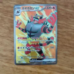 Item thumbnail for item 3d159b5d-0eaa-44a3-9bc2-af41ad0efe6d