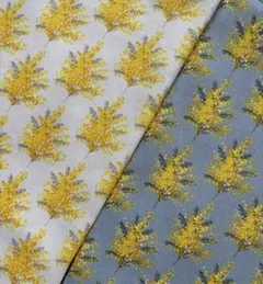 Item thumbnail for item d226cd1d-d655-41d0-851f-923aa2081c64