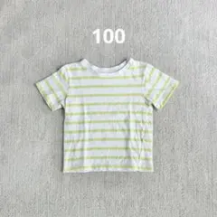 ボーダー 半袖Tシャツ イエロー 100cm